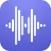 Voice Diary and Notes