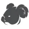 Koala Surf: Web Browser