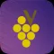 Vullyvre - Jeu pour les apéros