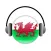 Welsh FM - Welsh radio online