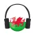 Radio of Wales: Welsh stations
