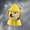 Single Weather-Radar & Weather Forecast
