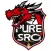 PureSRO - Private SRO Server