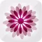BBM Barcelona Breast Meeting