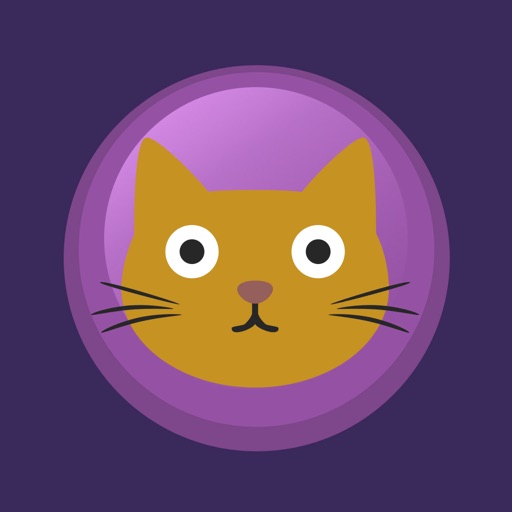 Whisker Wipeout