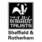 Wild Sheffield