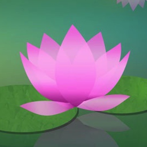 Meditation Without Borders Meditation Without Borders