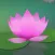 Meditation Without Borders