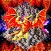Dragon Break: The Venture Begins!