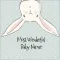 Wonderful Baby Namer