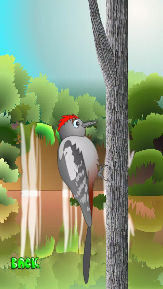 Woodpecker Mania Screenshots