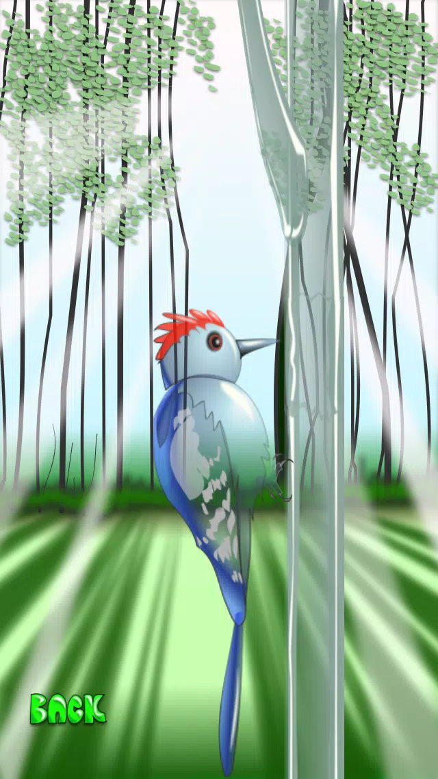 Woodpecker Mania Screenshots