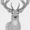LineArt：Line drawing extract