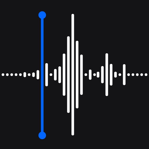 Voice Recorder - AI Transcribe