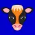 Black Orange Cow Mascot Stickers