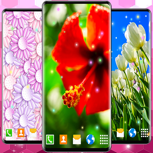 Animated Wallpaper For Xiaomi Animated Wallpaper For Xiaomi