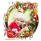 Xmas Collage