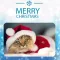Xmas 2017 Frame