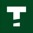 Teer