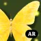 Butterfly Tree