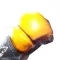 SF6 Moves