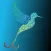 colibri fly
