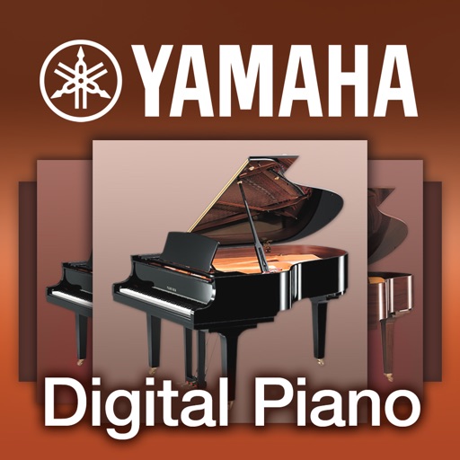 Digital Piano Controller - US Digital Piano Controller - US
