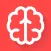 Brainy 999