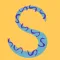 Your Spelling Bee - Edu learn