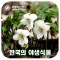 한국의 야생식물