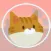 Cat Harpoon