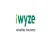 iWyze Investigations