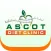 Ascot Diet Clinic