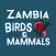 Zambia Bird & Mammal Checklist
