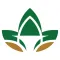 Lifehub Inc